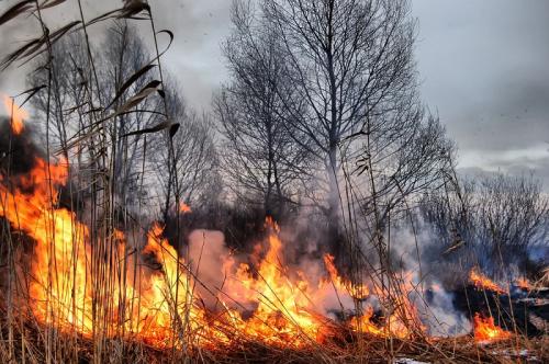 razno 26.03.12. pozar, ogenj, trava, gozd, gmajna, gori foto: shutterstock